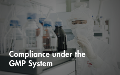 Optimizing the Management of Pharmaceutical Enterprises for Excellence and Compliance under the GMP System